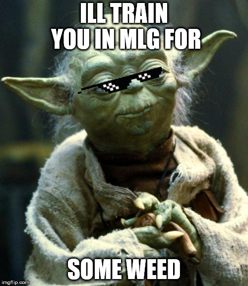 Star Wars Yoda | ILL TRAIN YOU IN MLG FOR; SOME WEED | image tagged in memes,star wars yoda | made w/ Imgflip meme maker