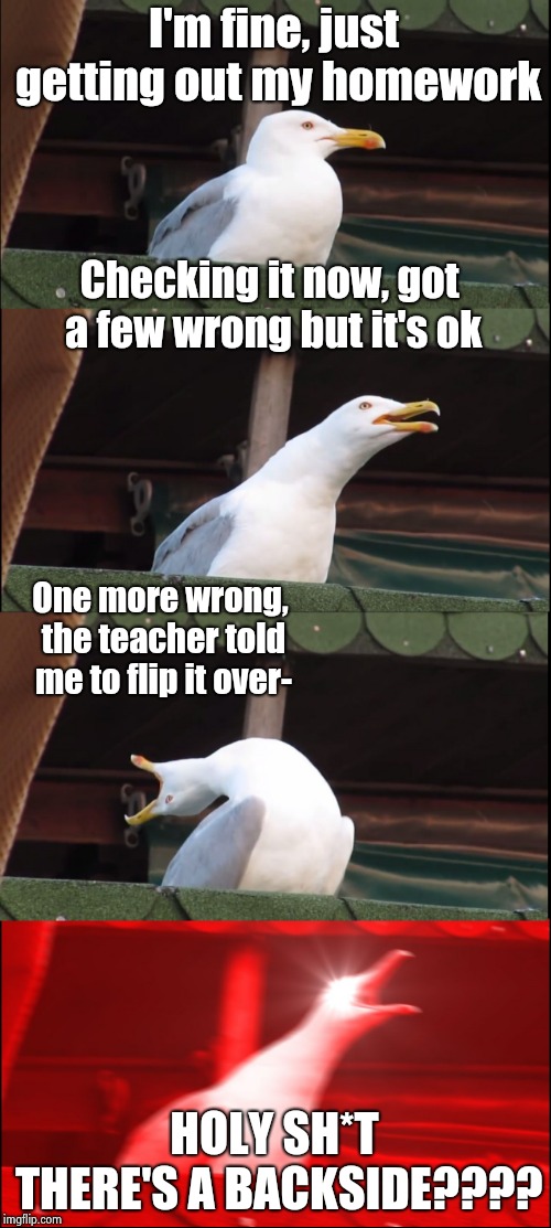 Inhaling Seagull | I'm fine, just getting out my homework; Checking it now, got a few wrong but it's ok; One more wrong, the teacher told me to flip it over-; HOLY SH*T THERE'S A BACKSIDE???? | image tagged in memes,inhaling seagull | made w/ Imgflip meme maker