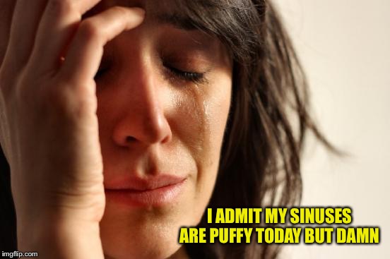 First World Problems Meme | I ADMIT MY SINUSES ARE PUFFY TODAY BUT DAMN | image tagged in memes,first world problems | made w/ Imgflip meme maker