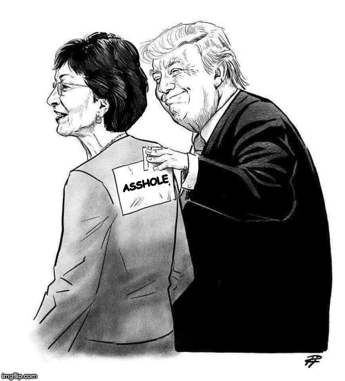 susan collins is an asshole! | ASSHOLE | image tagged in susan collins,asshole,i believe survivors,christine blasey ford,kavanaugh,kavanope | made w/ Imgflip meme maker