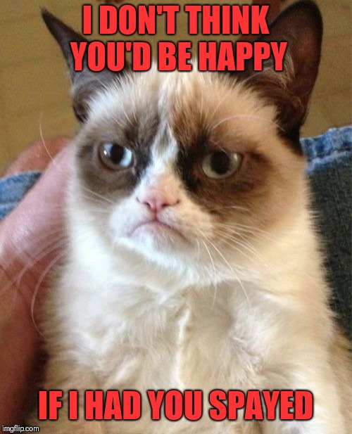 When asked why she's grumpy (Grumpy Cat Weekend) | I DON'T THINK YOU'D BE HAPPY; IF I HAD YOU SPAYED | image tagged in memes,grumpy cat | made w/ Imgflip meme maker