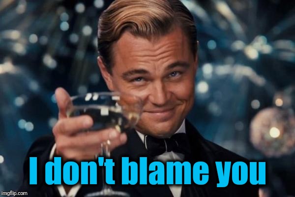 Leonardo Dicaprio Cheers Meme | I don't blame you | image tagged in memes,leonardo dicaprio cheers | made w/ Imgflip meme maker