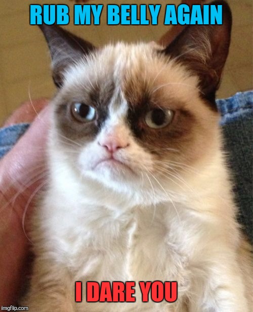 Grumpy Cat Meme | RUB MY BELLY AGAIN; I DARE YOU | image tagged in memes,grumpy cat,grumpy cat weekend,cats,i dare you | made w/ Imgflip meme maker