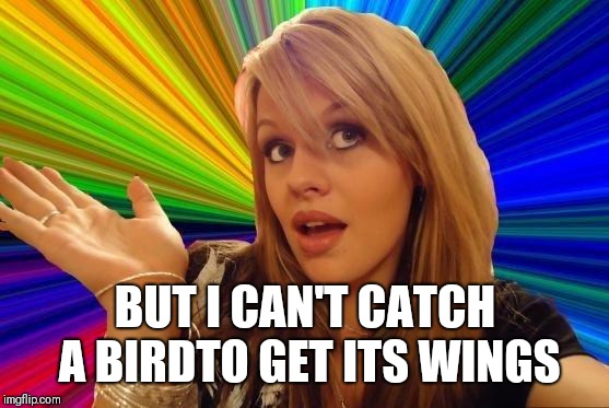 Dumb Blonde Meme | BUT I CAN'T CATCH A BIRDTO GET ITS WINGS | image tagged in memes,dumb blonde | made w/ Imgflip meme maker