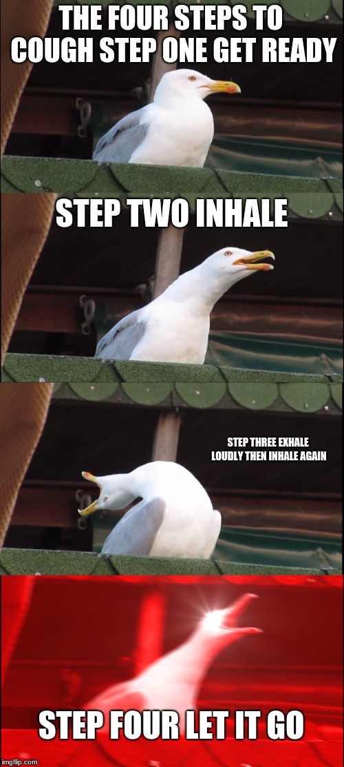 Inhaling Seagull | THE FOUR STEPS TO COUGH
STEP ONE GET READY; STEP TWO INHALE; STEP THREE EXHALE LOUDLY THEN INHALE AGAIN; STEP FOUR LET IT GO | image tagged in memes,inhaling seagull | made w/ Imgflip meme maker