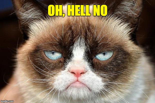 Grumpy Cat Not Amused Meme | OH, HELL NO | image tagged in memes,grumpy cat not amused,grumpy cat | made w/ Imgflip meme maker