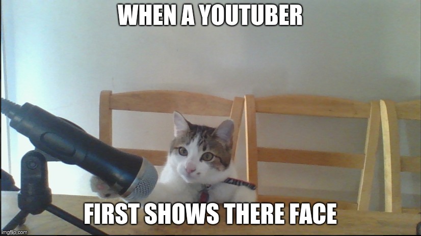 YouTube face reveal | WHEN A YOUTUBER; FIRST SHOWS THERE FACE | image tagged in cat,youtuber,face,reveal,youtube,cute | made w/ Imgflip meme maker