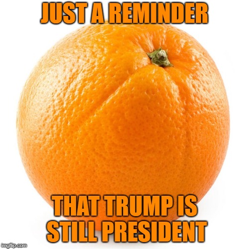 Orange | JUST A REMINDER; THAT TRUMP IS STILL PRESIDENT | image tagged in orange,trump,donald trump | made w/ Imgflip meme maker