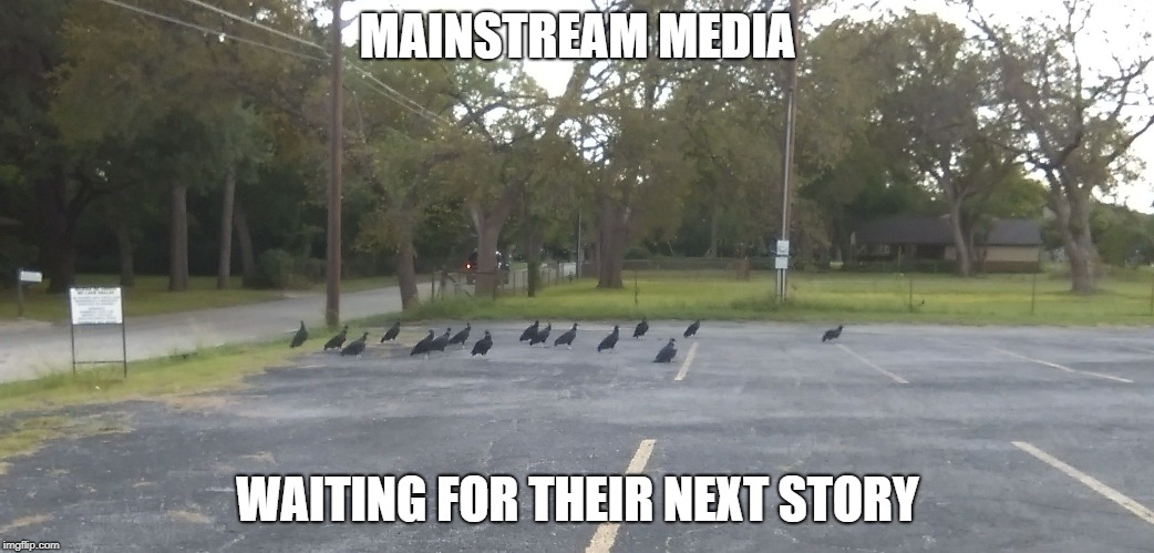 Mainstream Media Waiting For Their Next Story | MAINSTREAM MEDIA; WAITING FOR THEIR NEXT STORY | image tagged in black vultures,mainstream media | made w/ Imgflip meme maker