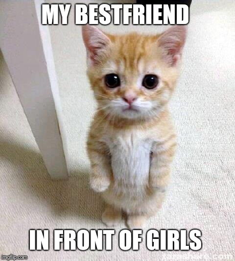 Cute Cat | MY BESTFRIEND; IN FRONT OF GIRLS | image tagged in memes,cute cat | made w/ Imgflip meme maker
