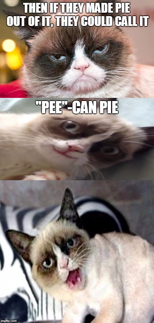 Bad Pun Grumpy Cat | THEN IF THEY MADE PIE OUT OF IT, THEY COULD CALL IT "PEE"-CAN PIE | image tagged in bad pun grumpy cat | made w/ Imgflip meme maker