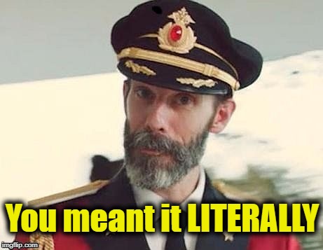 Captain Obvious | You meant it LITERALLY | image tagged in captain obvious | made w/ Imgflip meme maker