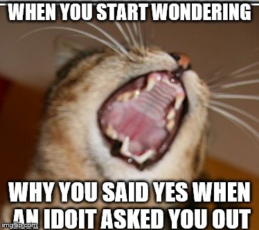 WHEN YOU START WONDERING; WHY YOU SAID YES WHEN AN IDOIT ASKED YOU OUT | image tagged in screaming cat | made w/ Imgflip meme maker