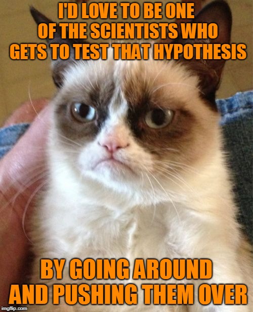 Grumpy Cat Meme | I'D LOVE TO BE ONE OF THE SCIENTISTS WHO GETS TO TEST THAT HYPOTHESIS BY GOING AROUND AND PUSHING THEM OVER | image tagged in memes,grumpy cat | made w/ Imgflip meme maker