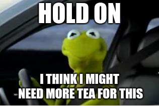 Kermit the frog | HOLD ON; I THINK I MIGHT NEED MORE TEA FOR THIS | image tagged in kermit the frog | made w/ Imgflip meme maker