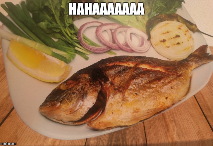 HAHAAAAAAA | image tagged in fish,hahahaha | made w/ Imgflip meme maker