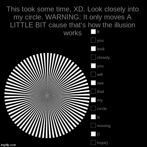 This took some time&lagg but it's funny XD | This took some time, XD. Look closely into my circle. WARNING: It only moves A LITTLE BIT cause that's how the illusion works |, hope), (I,  | image tagged in funny,pie charts,illusion,look,black,white | made w/ Imgflip chart maker