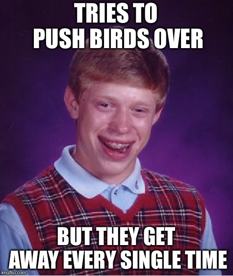 Bad Luck Brian Meme | TRIES TO PUSH BIRDS OVER BUT THEY GET AWAY EVERY SINGLE TIME | image tagged in memes,bad luck brian | made w/ Imgflip meme maker