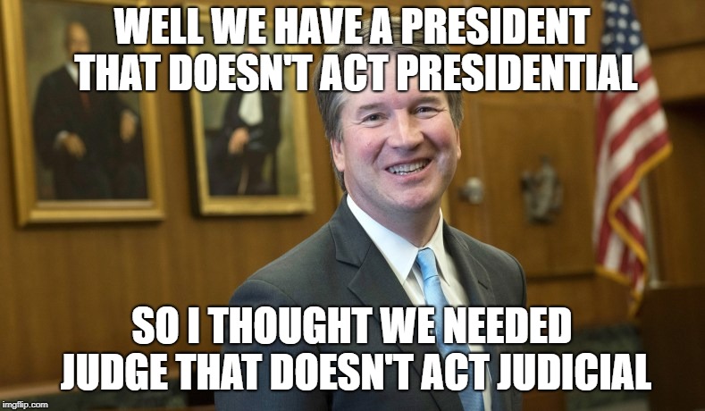 Brett Kavanaugh | WELL WE HAVE A PRESIDENT THAT DOESN'T ACT PRESIDENTIAL; SO I THOUGHT WE NEEDED JUDGE THAT DOESN'T ACT JUDICIAL | image tagged in brett kavanaugh | made w/ Imgflip meme maker