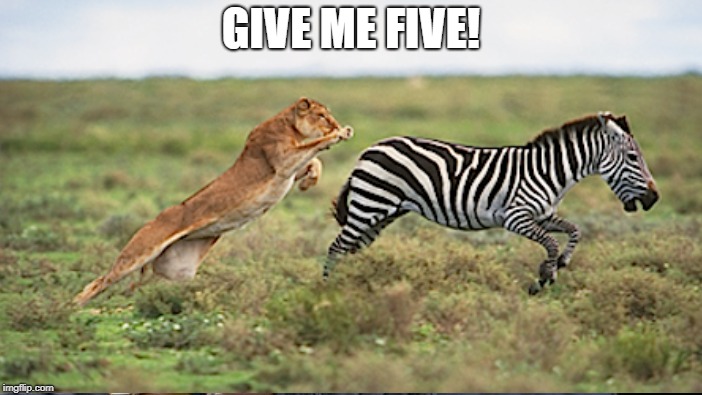 GIVE ME FIVE! | made w/ Imgflip meme maker