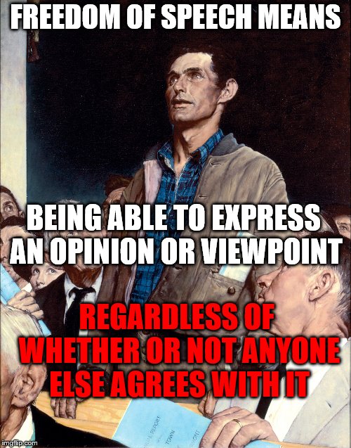 you're entitled to your own opinion.  you are not entitled to suppress anyone else's. | FREEDOM OF SPEECH MEANS; BEING ABLE TO EXPRESS AN OPINION OR VIEWPOINT; REGARDLESS OF WHETHER OR NOT ANYONE ELSE AGREES WITH IT | image tagged in freedom of speech | made w/ Imgflip meme maker