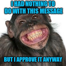 Grinning Chimp | I HAD NOTHING TO DO WITH THIS MESSAGE BUT I APPROVE IT ANYWAY | image tagged in grinning chimp | made w/ Imgflip meme maker