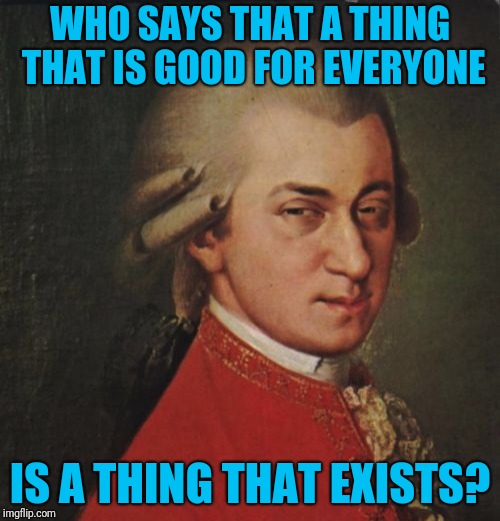 325 million people can't agree on anything, so let's not ram our way down the throats of others | WHO SAYS THAT A THING THAT IS GOOD FOR EVERYONE; IS A THING THAT EXISTS? | image tagged in memes,mozart not sure | made w/ Imgflip meme maker