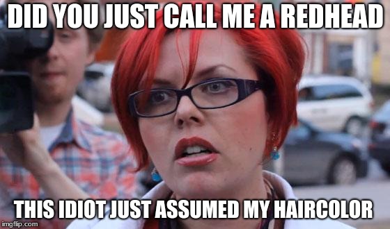 Did you just assume my hair color | DID YOU JUST CALL ME A REDHEAD; THIS IDIOT JUST ASSUMED MY HAIRCOLOR | image tagged in angry feminist,triggered,shook | made w/ Imgflip meme maker