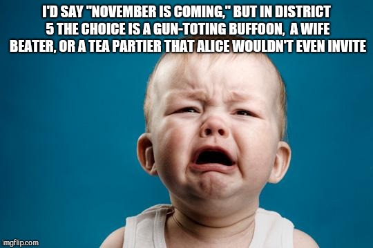 BABY CRYING | I'D SAY "NOVEMBER IS COMING," BUT IN DISTRICT 5 THE CHOICE IS A GUN-TOTING BUFFOON,  A WIFE BEATER, OR A TEA PARTIER THAT ALICE WOULDN'T EVEN INVITE | image tagged in baby crying | made w/ Imgflip meme maker