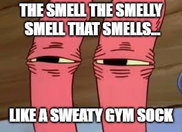 Mr. Krabs Smelly Smell | THE SMELL THE SMELLY SMELL THAT SMELLS... LIKE A SWEATY GYM SOCK | image tagged in mr krabs smelly smell | made w/ Imgflip meme maker