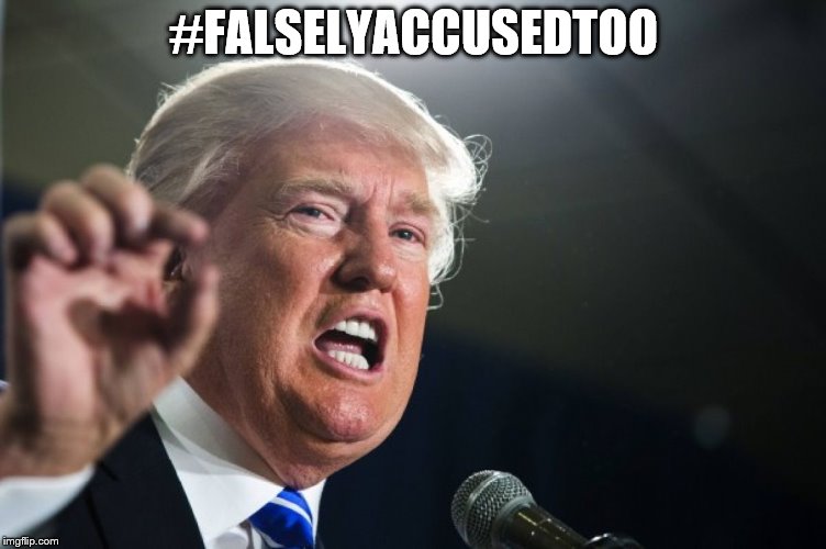 donald trump | #FALSELYACCUSEDTOO | image tagged in donald trump | made w/ Imgflip meme maker