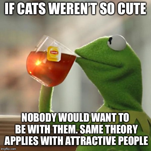 But That's None Of My Business Meme | IF CATS WEREN’T SO CUTE; NOBODY WOULD WANT TO BE WITH THEM. SAME THEORY APPLIES WITH ATTRACTIVE PEOPLE | image tagged in memes,but thats none of my business,kermit the frog | made w/ Imgflip meme maker