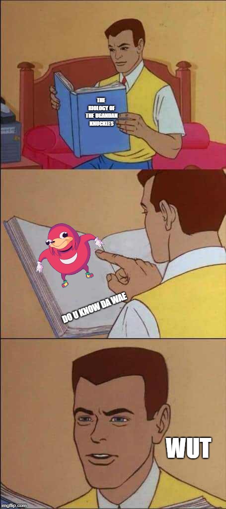 reading book | THE BIOLOGY OF THE UGANDAN KNUCKLES; DO U KNOW DA WAE; WUT | image tagged in reading book | made w/ Imgflip meme maker