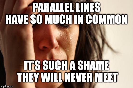 So sad | PARALLEL LINES HAVE SO MUCH IN COMMON; IT’S SUCH A SHAME THEY WILL NEVER MEET | image tagged in memes,first world problems,bad pun | made w/ Imgflip meme maker
