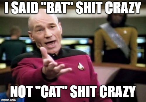 Picard Wtf Meme | I SAID "BAT" SHIT CRAZY NOT "CAT" SHIT CRAZY | image tagged in memes,picard wtf | made w/ Imgflip meme maker