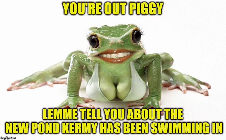 Freida "Froggy" Daniels Blows the Whistle on Kermit | YOU'RE OUT PIGGY; LEMME TELL YOU ABOUT THE NEW POND KERMY HAS BEEN SWIMMING IN | image tagged in kermit the frog,memes,miss piggy,stormy daniels | made w/ Imgflip meme maker
