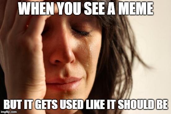 First World Problems |  WHEN YOU SEE A MEME; BUT IT GETS USED LIKE IT SHOULD BE | image tagged in memes,first world problems | made w/ Imgflip meme maker