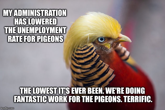 Trump Bird | MY ADMINISTRATION HAS LOWERED THE UNEMPLOYMENT RATE FOR PIGEONS THE LOWEST IT'S EVER BEEN. WE'RE DOING FANTASTIC WORK FOR THE PIGEONS. TERRI | image tagged in trump bird | made w/ Imgflip meme maker