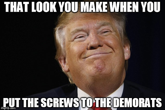 THAT LOOK YOU MAKE WHEN YOU; PUT THE SCREWS TO THE DEMORATS | image tagged in trump | made w/ Imgflip meme maker