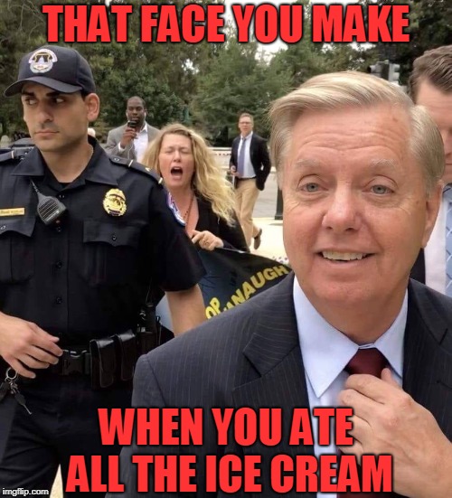 That face in the back? The one I make when I'm not the one who ate the ice cream! | THAT FACE YOU MAKE; WHEN YOU ATE ALL THE ICE CREAM | image tagged in lindsey graham,nixieknox,memes | made w/ Imgflip meme maker