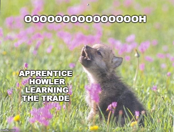 Baby Insanity Wolf Meme | OOOOOOOOOOOOOOOH; APPRENTICE HOWLER LEARNING THE TRADE | image tagged in memes,baby insanity wolf | made w/ Imgflip meme maker