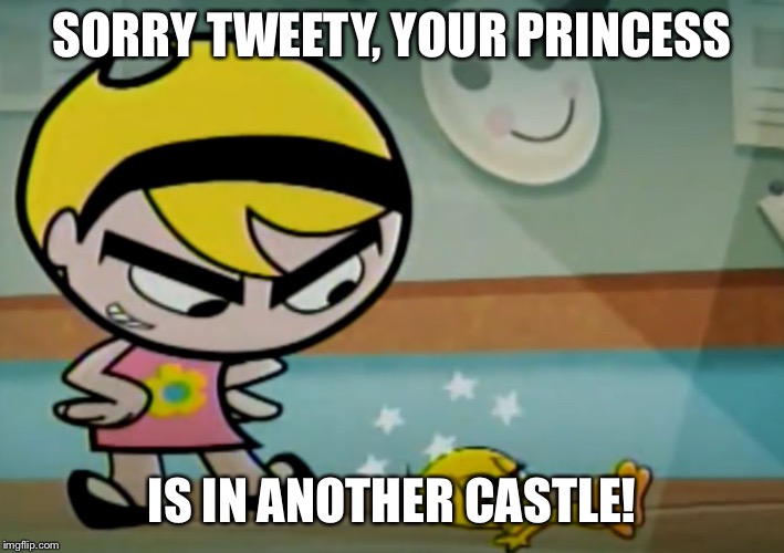 The Princess is somewhere else | SORRY TWEETY, YOUR PRINCESS; IS IN ANOTHER CASTLE! | image tagged in memes | made w/ Imgflip meme maker