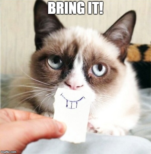 Grumpy cat smile | BRING IT! | image tagged in grumpy cat smile | made w/ Imgflip meme maker