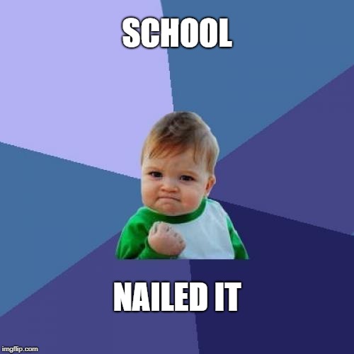 Success Kid | SCHOOL; NAILED IT | image tagged in memes,success kid | made w/ Imgflip meme maker