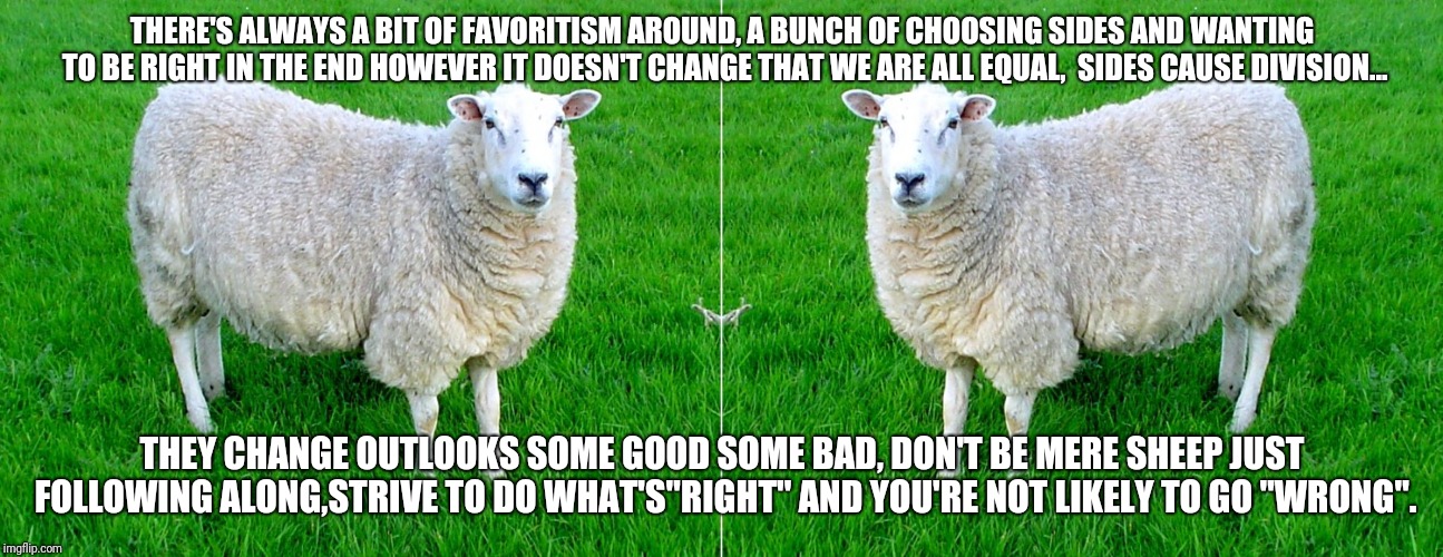 Favoritism doesn't change equality be more than sheep who follow it blindly | THERE'S ALWAYS A BIT OF FAVORITISM AROUND, A BUNCH OF CHOOSING SIDES AND WANTING TO BE RIGHT IN THE END HOWEVER IT DOESN'T CHANGE THAT WE ARE ALL EQUAL,  SIDES CAUSE DIVISION... THEY CHANGE OUTLOOKS SOME GOOD SOME BAD, DON'T BE MERE SHEEP JUST FOLLOWING ALONG,STRIVE TO DO WHAT'S"RIGHT" AND YOU'RE NOT LIKELY TO GO "WRONG". | image tagged in two sided sheep,memes | made w/ Imgflip meme maker