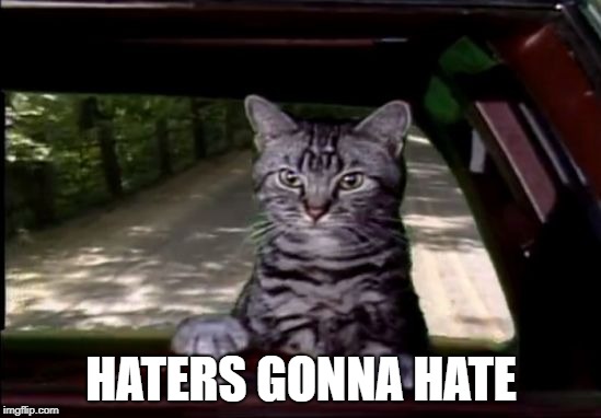 toonces | HATERS GONNA HATE | image tagged in toonces | made w/ Imgflip meme maker