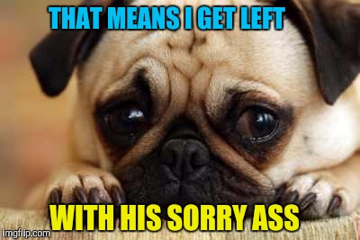 Sad Dog | THAT MEANS I GET LEFT WITH HIS SORRY ASS | image tagged in sad dog | made w/ Imgflip meme maker