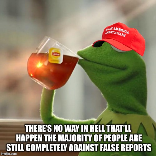 But That's None Of My Business Meme | THERE’S NO WAY IN HELL THAT’LL HAPPEN THE MAJORITY OF PEOPLE ARE STILL COMPLETELY AGAINST FALSE REPORTS | image tagged in memes,but thats none of my business,kermit the frog | made w/ Imgflip meme maker