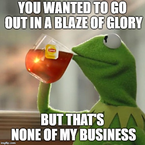 But That's None Of My Business Meme | YOU WANTED TO GO OUT IN A BLAZE OF GLORY BUT THAT'S NONE OF MY BUSINESS | image tagged in memes,but thats none of my business,kermit the frog | made w/ Imgflip meme maker