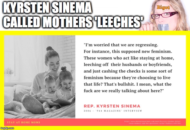 Kyrsten Sinema Called Stay-At-Home Moms Leeches - Meme Arizona Senate | CALLED MOTHERS 'LEECHES'; KYRSTEN SINEMA | image tagged in kyrsten sinema,bigot,mother,feminist,arizona,leech | made w/ Imgflip meme maker